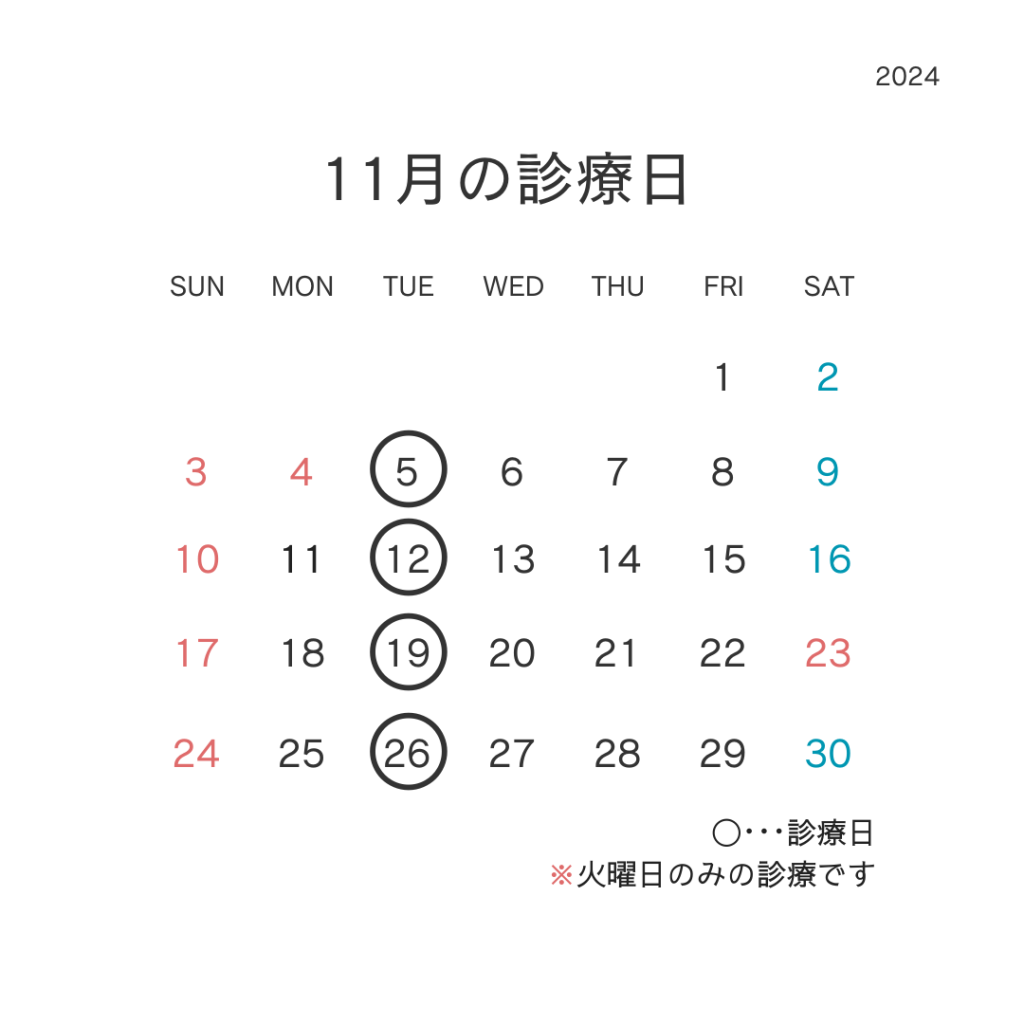 11月診療日