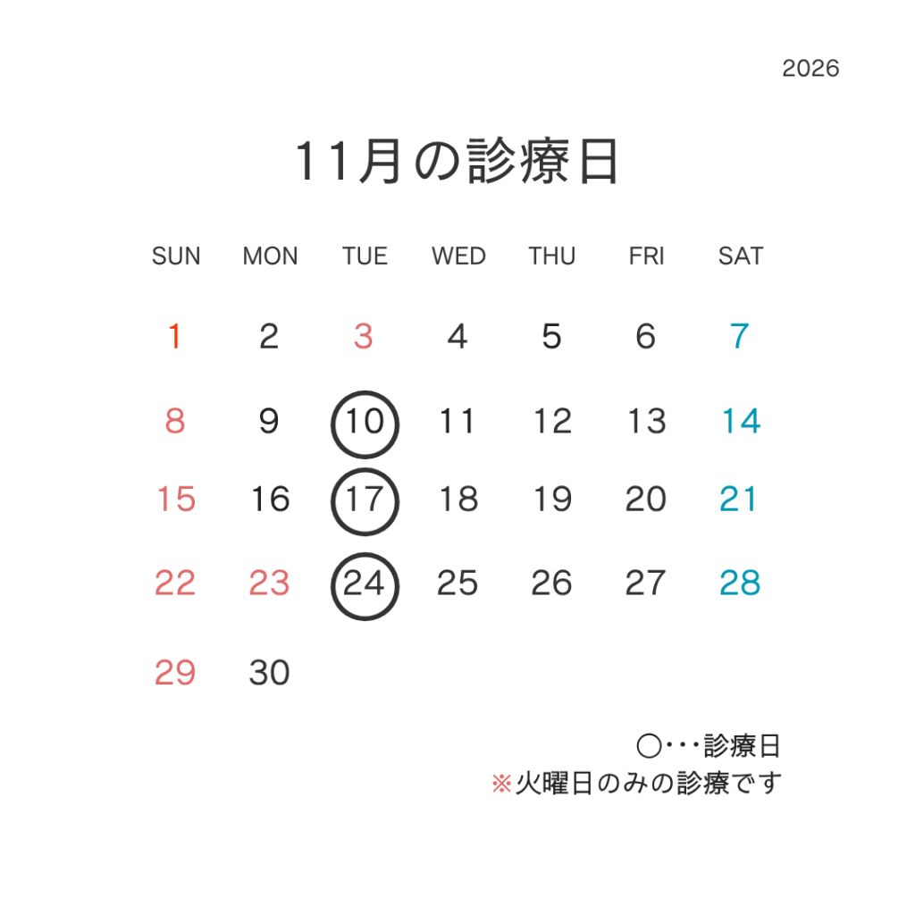 11月の診療日